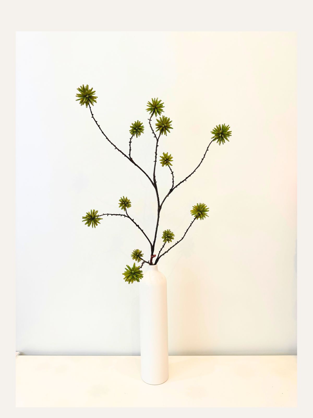 Bloom Accents