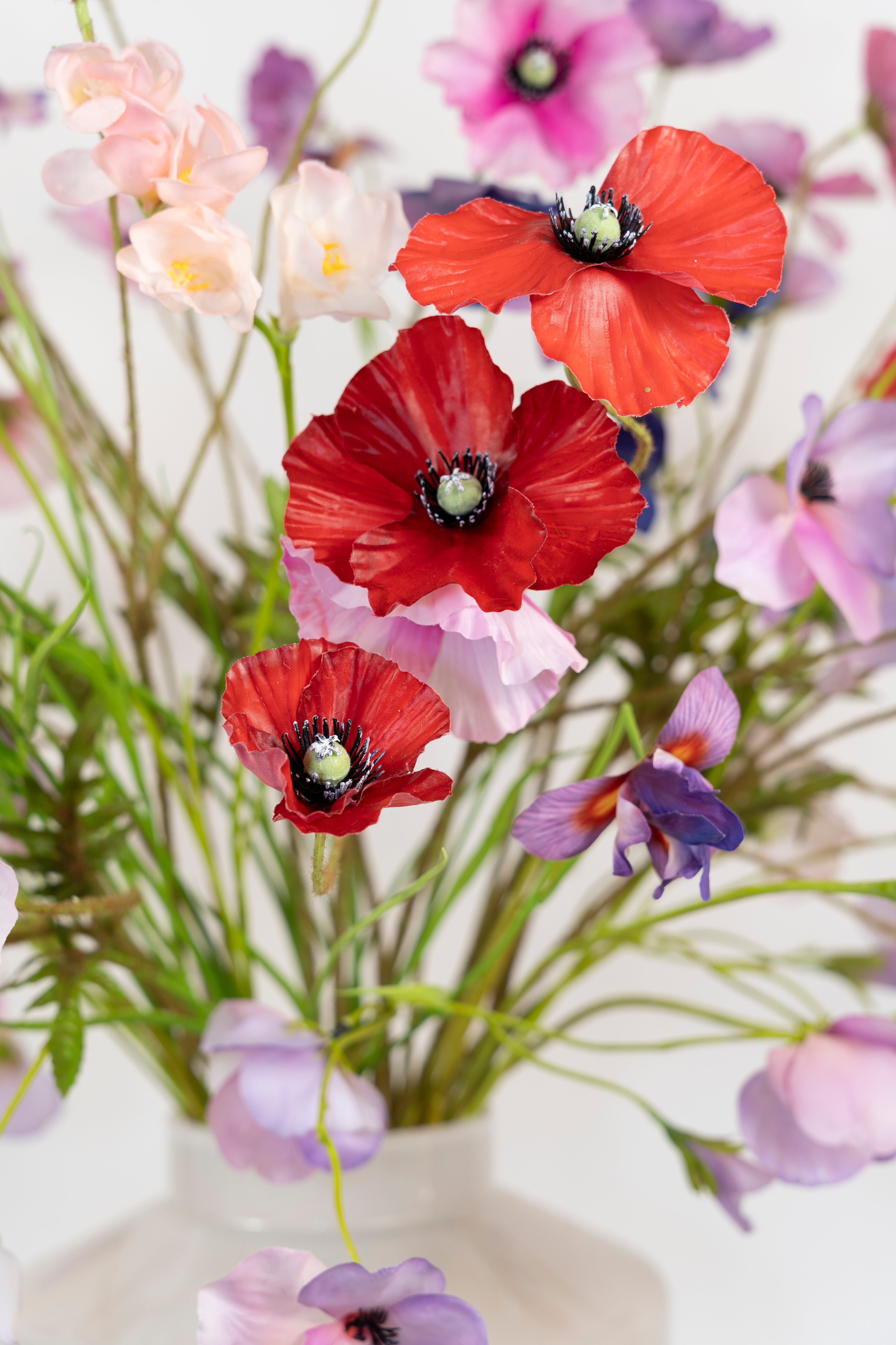 Poppy Parade